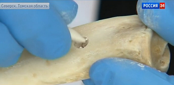 材料与测试:俄科学家称用兽骨进行3D打印有望再生人骨2